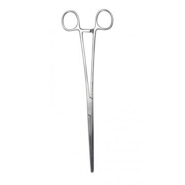 Goblet Tutma Pensi 25 cm